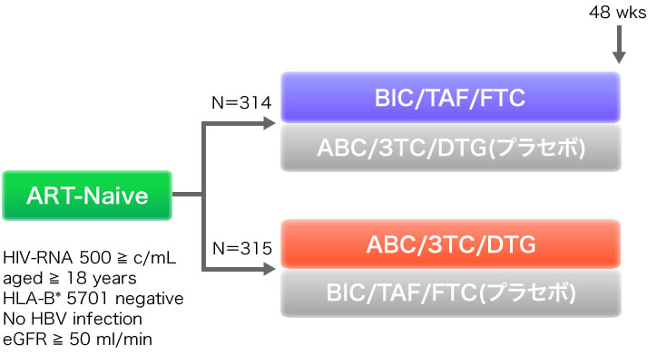 ART-Naive:HIV-RNA 500 ≧ c/mL, aged ≥ 18 years, HLA-B* 5701 negative, No HBV infection, eGFR ≧ 50 ml/min. N=314:BIC/TAF/FTC, ABC/3TC/DTG(プラセボ). N=315:ABC/3TC/DTG, BIC/TAF/FTC(プラセボ). 48wks