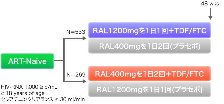 ART-Naive:HIV-RNA 1,000 ≧ c/mL, ≧18 years of age, クレアチニンクリアランス ≧ 30 ml/min. N＝533:RAL1200㎎を1日1回＋TDF/FTC, RAL400mgを1日2回（プラセボ）. N＝269:RAL400mgを1日2回＋TDF/FTC, RAL400mgを1日2回＋TDF/FTC. 48wks